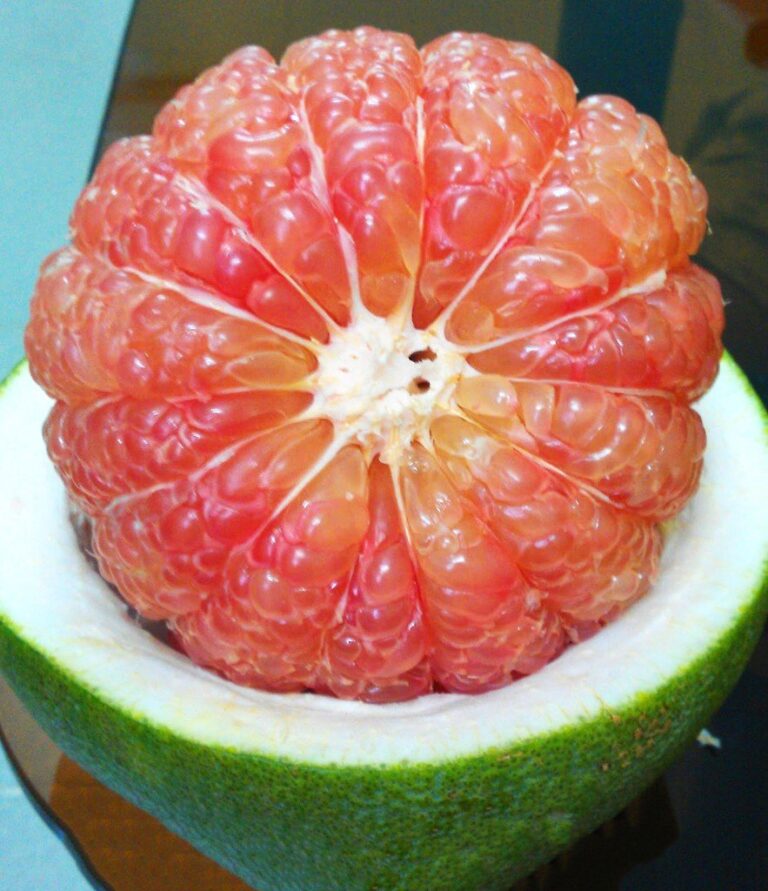 bưởi da xanh
