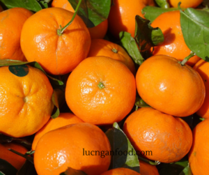 cam đường canh Lục Ngạn