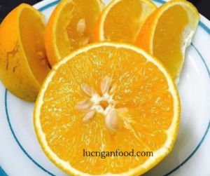 cam lòng vàng Lục Ngạn (1)