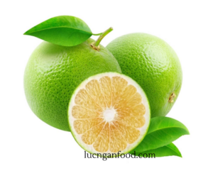 cam xoàn Lục Ngạn