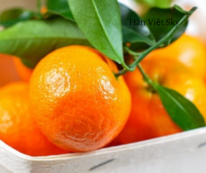 phân biệt cam Canh